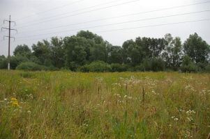 Laistų sodybvietė
