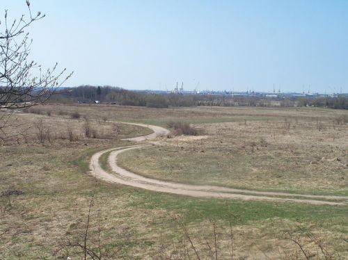 Žardės senovės gyvenvietė III