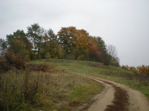 Žardės, Kuncų piliakalnis su gyvenviete, 2014 m.