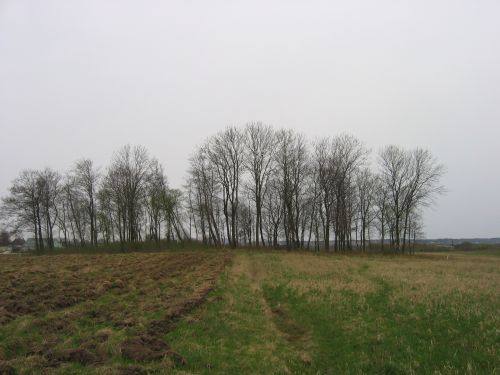 Virkučių  kaimo senosios kapinės