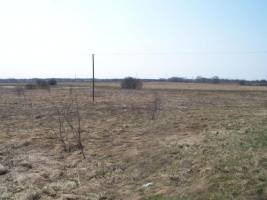 Spätsiedlung Zarde, 2014.