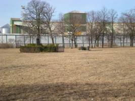 Alter Friedhofkomplex der Stadt Klaipeda, sog. Friedhof Vite