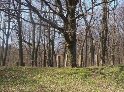 Alter Friedhof des Dorfes Tauralaukis