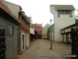 Complex of Buildings (26 26A Tiltu St.) 2002.