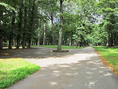 Kapinės